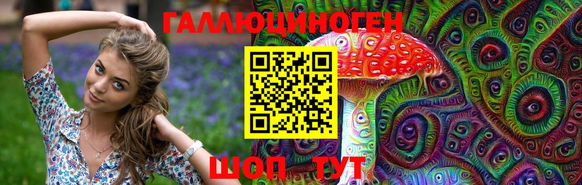 Псилоцибиновые грибы Psilocybine cubensis Ступино