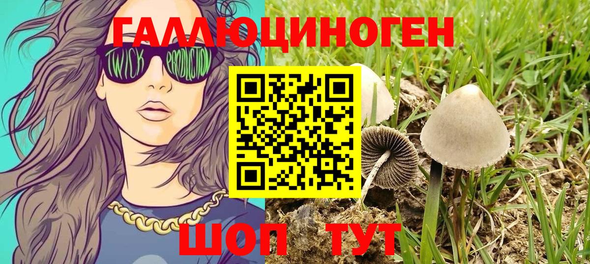 Галлюциногенные грибы MAGIC MUSHROOMS  Вход с VPN  Галлюциногенные грибы Magic Shrooms  Ступино 